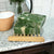 Cool Fresh Aloe Bar Soap